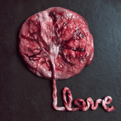 placenta encapsulation - Colorado Mountain Doulas