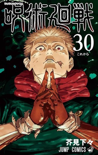 Cover von Jujutsu Kaisen Vol. 30