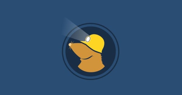 logo-mullvad-vpn
