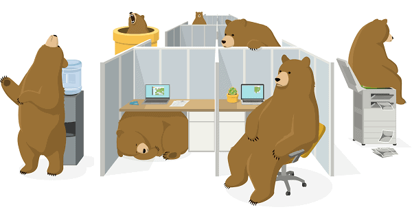 appareils supportes tunnelbear