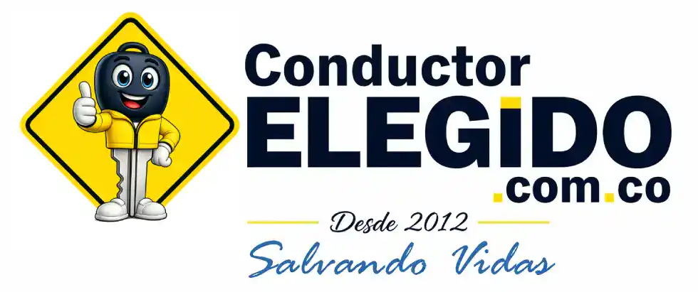 Conductor Elegido – Servicio Profesional Desde El 2012