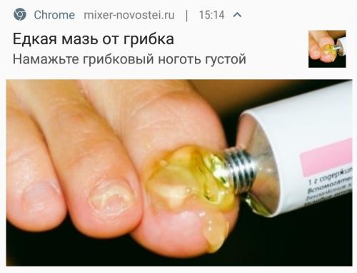 Грибок