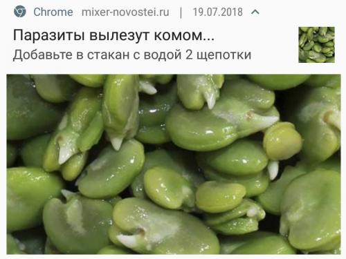 Паразиты