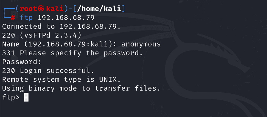 ftp client connecting to an ftp server on metasploitable2 using anonymous credentials