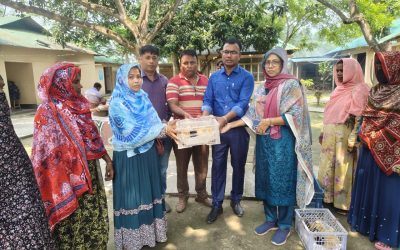 দুর্গাপুরে ব্র‍্যাক মাইক্রোফাইন্যান্স কর্মসূচীর উদ্যোগে বিনামূল্যে মুরগির বাচ্চা বিতরণ