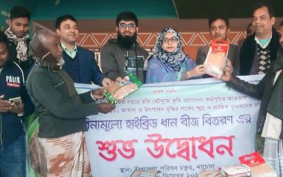 নাচোলে কৃষকদের মাঝে বিনামূল্যে হাইব্রিড ধানের বীজ বিতরনের উদ্বোধন