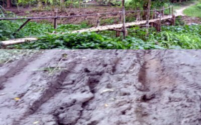 নবীনগরের শ্রীঘর উত্তর পাড়ার গুরুত্বপূর্ণ সড়কের বেহাল দশা: দুর্ভোগে হাজারো মানুষ