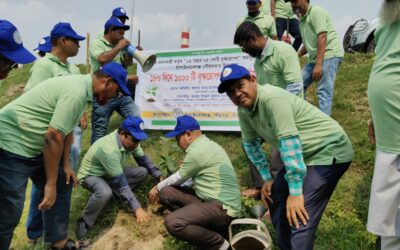 চাঁপাইনবাবগঞ্জ পৌরসভার উদ্যোগে বৃক্ষরোপণ কর্মসূচীর উদ্বোধন