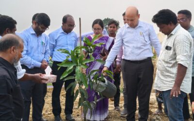 চাঁপাইনবাবগঞ্জে পাঁচ বছরে ২৫ কোটি বৃক্ষরোপণ কর্মসূচির অংশ হিসেবে বিএমডিএ’র উদ্যোগে বৃক্ষরোপণ কর্মসূচির উদ্বোধন