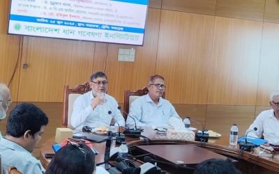 ধান চাষে কৃষকের পাশে ব্রি, ২৪ ঘণ্টার কলসেন্টার সেবা চালু, ২৫/০৬/২০২৫, গাজীপুর।।