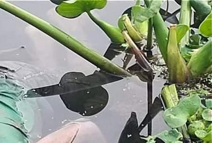 ২ দিন পর আড়িয়ালখাঁর পানিতে নিখোঁজ শিশুর লাশ
