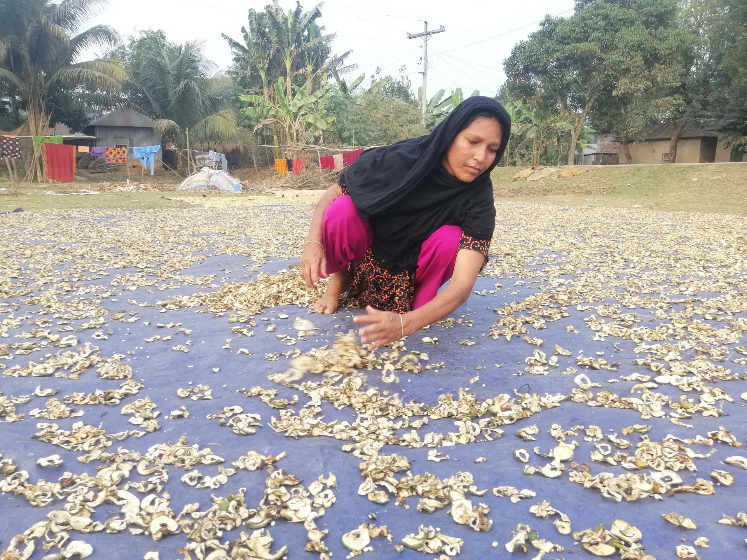 শ্রীপুরের ভেষজ গ্রাম দরগারচালা  শতাধিক পরিবারের জীবন ও জীবিকা ভেষজ ঘিরে।