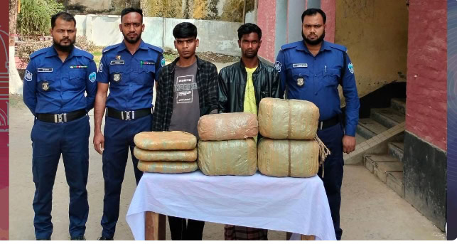 নবীনগরে পুলিশের পৃথক অভিযানে গাঁজাসহ ২ জন আটক