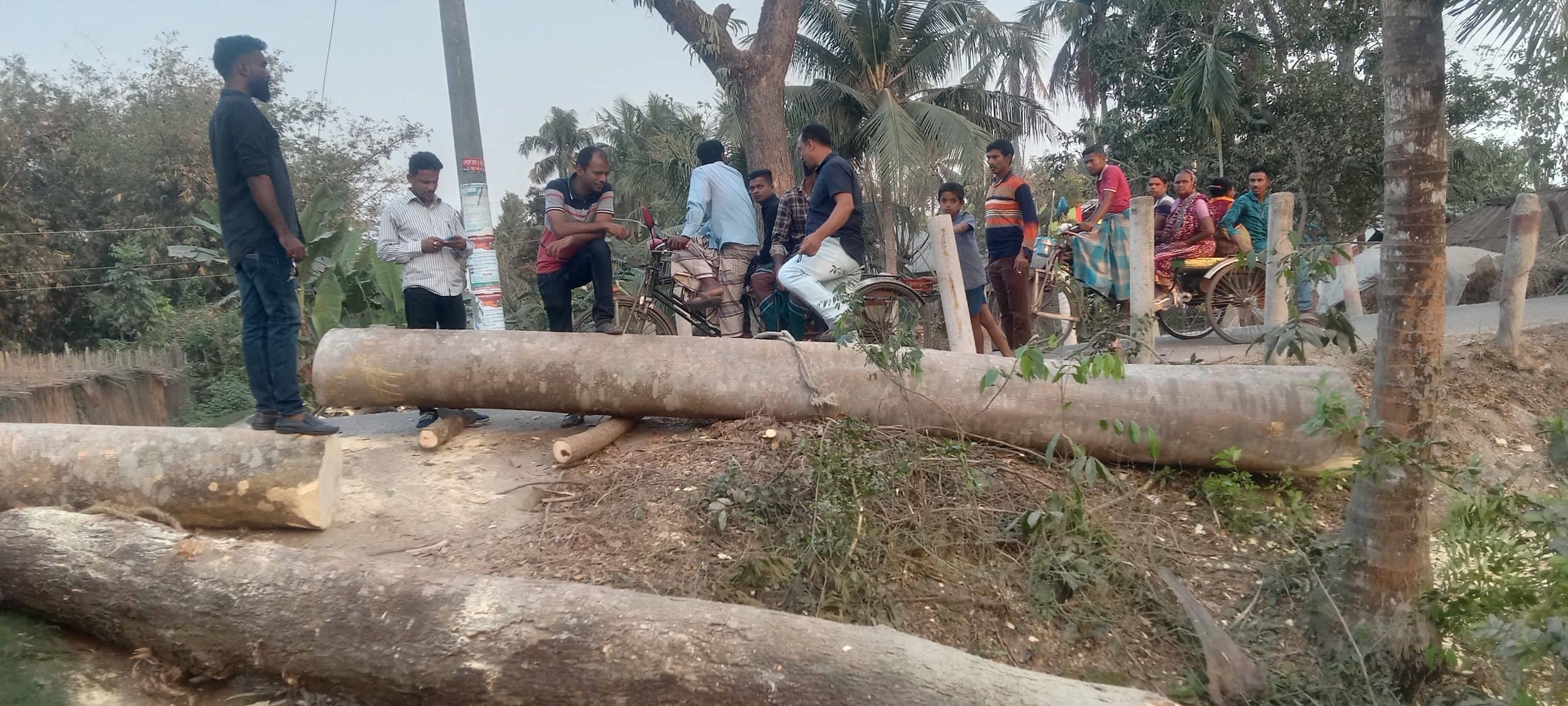 খুলনার দিঘলিয়ায় অবৈধভাবে সরকারি গাছ কেটে লুটের চেষ্টা