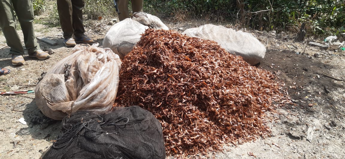 অবৈধ শুটকি ফেলে পালালো জেলেরা