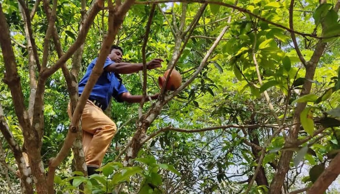 পুলিশের সেবায় পাখির নিরাপদ আবাসস্থল