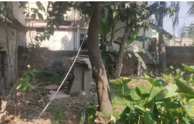 ডেমরায় চুরি ঠেকাতে আম গাছে অবৈধ বৈদ্যুতিক তাঁরে জড়িয়ে দুই শিশুর মৃত্যু
