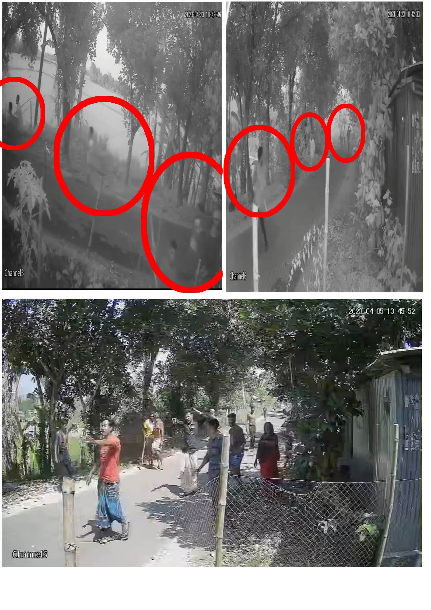 শেরপুরে মামলার স্বাক্ষীর বাড়িতে হামলা, ভাঙচুর ও লুটতরাজের অভিযোগ