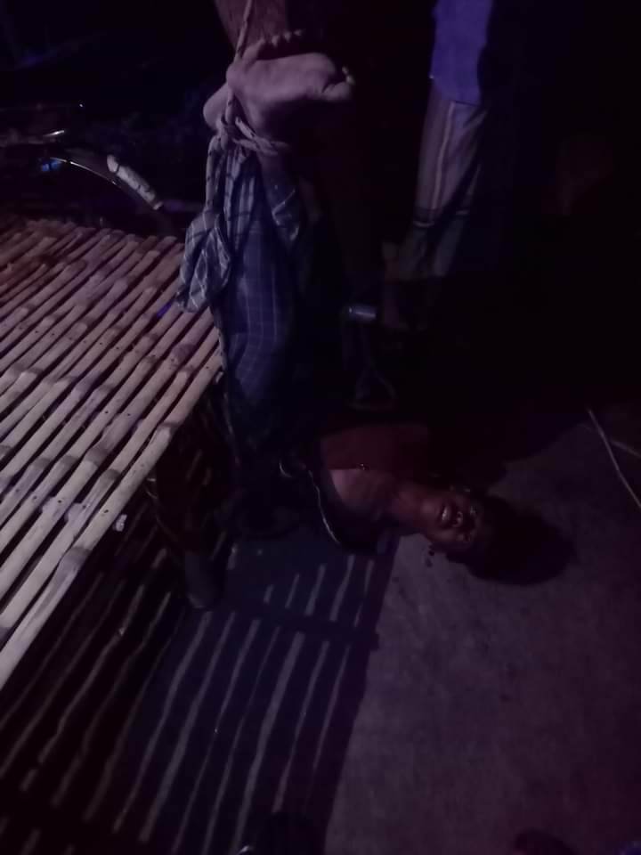 সিরাজগঞ্জের তাড়াশে যুবককে গাছে ঝুলিয়ে নির্যাতন!