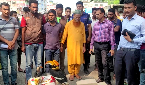 সিরাজগঞ্জে ২টি বিরল প্রজাতির রাজ ধনেশ পাখি সহ ২ জন আটক