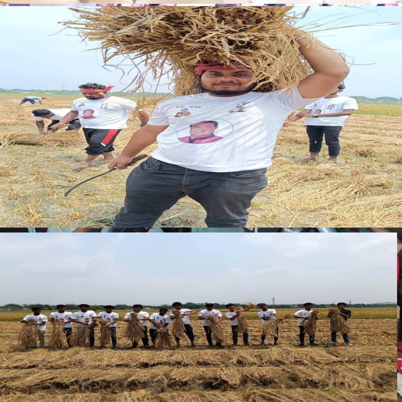 কৃষকের ধান কেটে দিলো বারুইপাড়া ইউনিয়ন ছাত্রলীগ