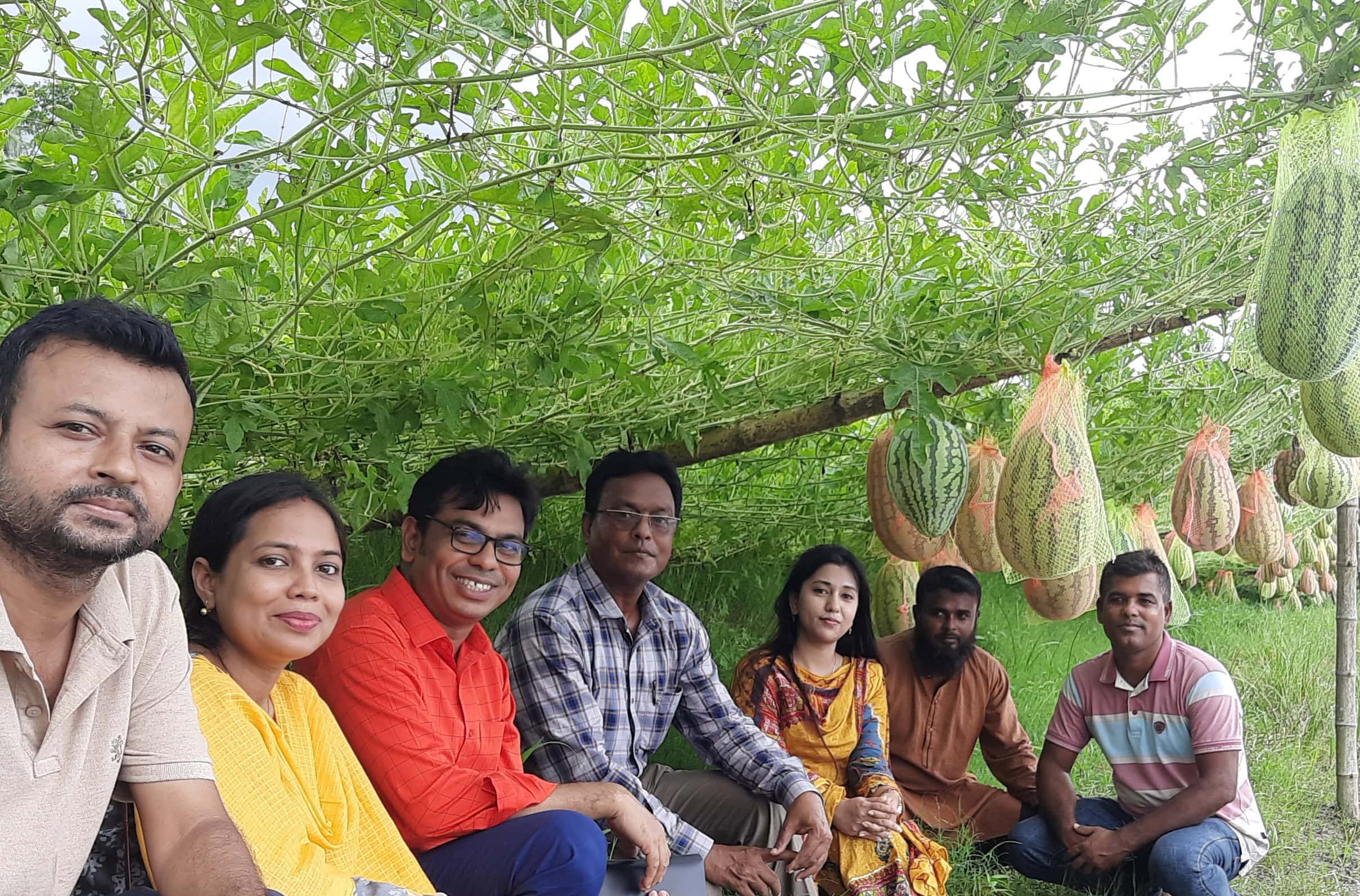 নড়াইলে অসময়ে মাছের ঘেরে তরমুজ চাষ,  কৃষকের মুখে হাসি