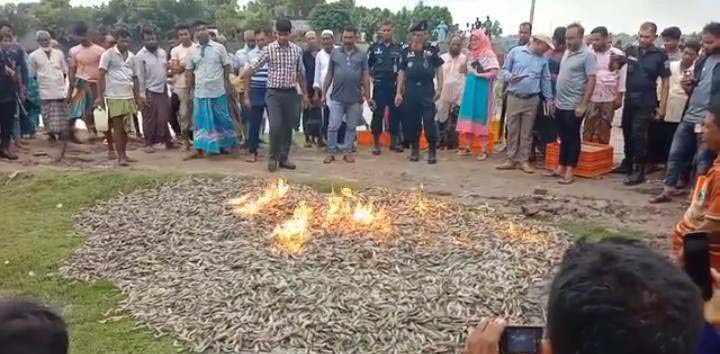 সাতক্ষীরায় ৭’শ কেজি চিংড়ি বিনষ্ট: ৪ জনকে সাঁজা
