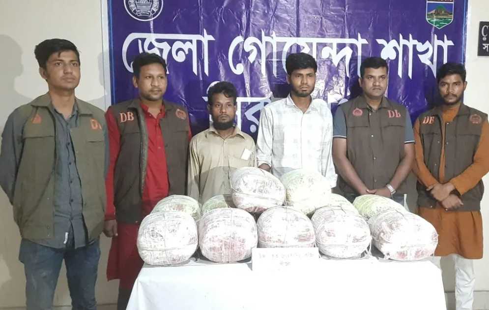 সিরাজগঞ্জে ৬০ কেজি গাঁজাসহ ২ মাদক কারবারি আটক