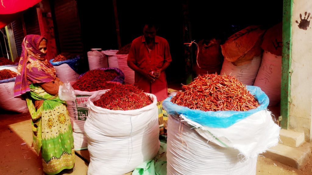 নরসিংদীতে এবারের শীতে শুকনা মরিচের চাহিদা কম, কাঁচা মরিচের চাহিদা বেশি