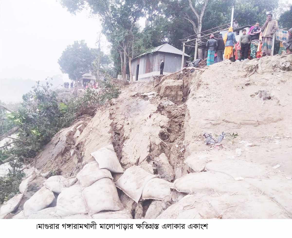 মাগুরায় ১৫ টি পরিবারের বাড়িঘর ও গাছপালা  গড়াই নদীগর্ভে বিলীন \ হুমকির মুখে অর্ধ-শতাধিক পরিবার