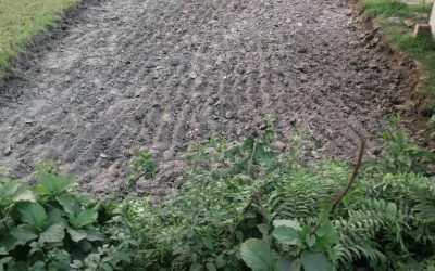 ফেনীর দাগনভুঞায় রাতের আঁধারে কৃষকের মাটিলুট