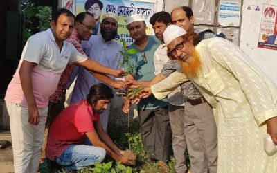 মিরপুর প্রেসক্লাবের উদ্যোগে বৃক্ষরোপন