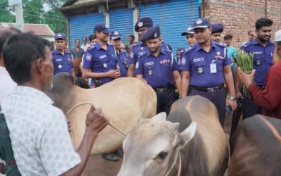 ঐতিহ্যবাহী পুটিয়া পশুর হাট পরিদর্শন করলেন নরসিংদীর পুলিশ সুপার