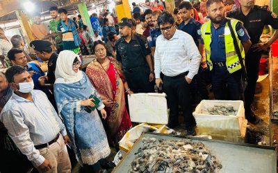চিংড়িতে জেলি পুশ: নরসিংদীতে পাইকারি ব্যবসায়ীকে জরিমানা, ১২৩ কেজি মাছ বিনষ্ট