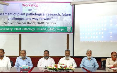 বারিতে উদ্ভিদ রোগতত্ত্ব গবেষণা বিষয়ক কর্মশালা অনুষ্ঠিত