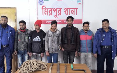 কুষ্টিয়ার মিরপুরে ডাকাতির প্রস্তুতিকালে আটক-৫, দেশীয় অস্ত্র উদ্ধার