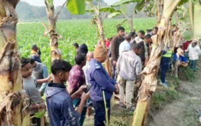 কুষ্টিয়ার মিরপুরে নির্মান শ্রমিকের ক্ষতবিক্ষত লাশ উদ্ধার