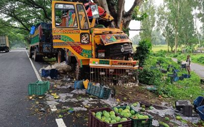 সলঙ্গায় নিয়ন্ত্রণ হারিয়ে গাছের সঙ্গে ট্রাকের ধাক্কায় নিহত-১