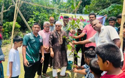 বৃক্ষরোপণ দেশময় সামাজিক আন্দোলনে পরিণত করতে হবে:বাসস চেয়ারম্যান