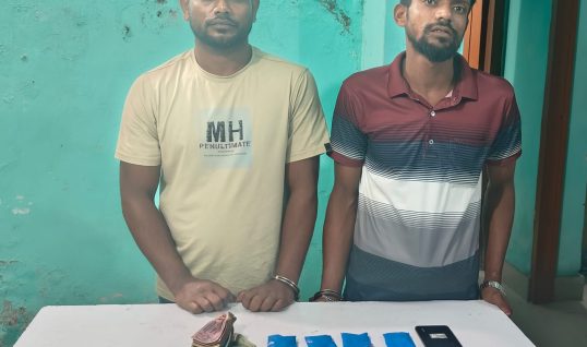 মাদারীপুরে মাদকবিরোধী অভিযানে দুই মাদক কারবারি গ্রেপ্তার, উদ্ধার ৬০৭ পিস ইয়াবা