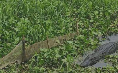  কেরানীগঞ্জ মডেল থানা এলাকায় সতর্কতা জারি