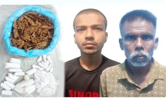 রাজশাহী মহানগর পুলিশের মাদকবিরোধী অভিযানে গাঁজা ও ট্যাপেন্টাডল ট্যাবলেট উদ্ধার সহ দুই মাদক কারবারি গ্রেফতার