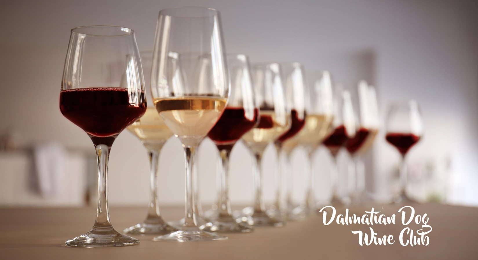 Postani član Dalmatian dog kluba