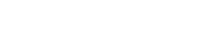 Entrepreneurial Engineer