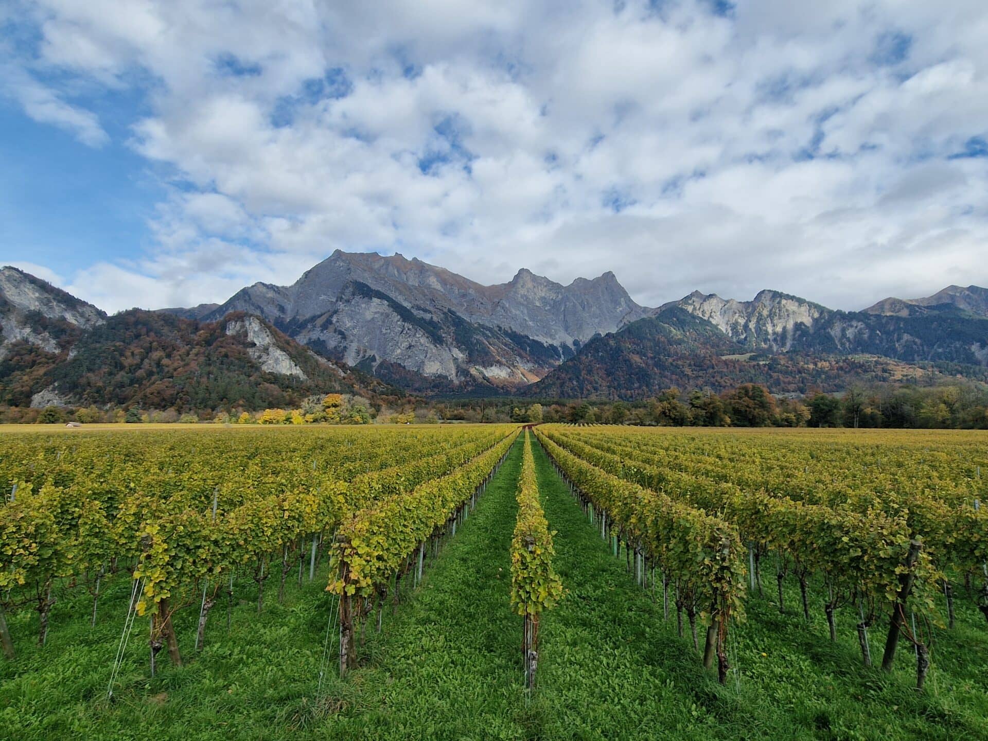 Biologist & Researcher 