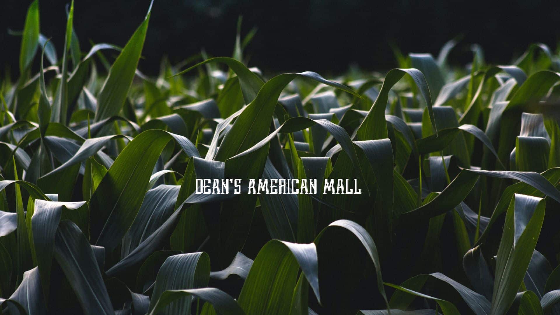 Deans American Mall Large Deans American Mall Large