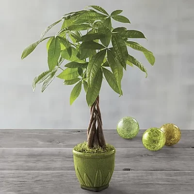 16_31286_30h_01e_v3x 16_31286_30h_01e_v3x