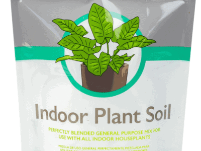 Buy Indoor Plant Soil Mix for All Houseplants