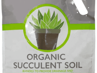 Cactus & Succulent Soil Best Soil For Succulents