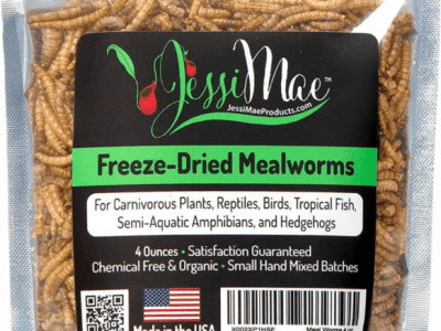 Freeze-Dried Meal Worms _ Predatory Plants